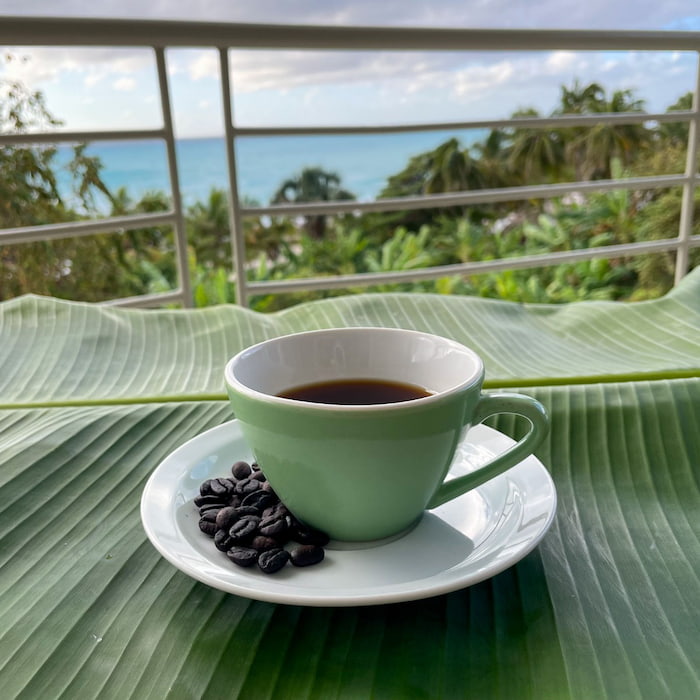 Molior Farm Coffee 12oz Christmas Sale